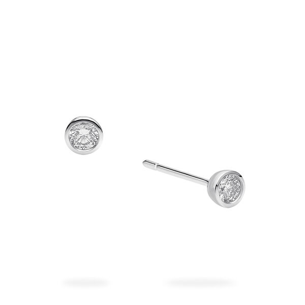 Sterling Silver and Diamond Earrings