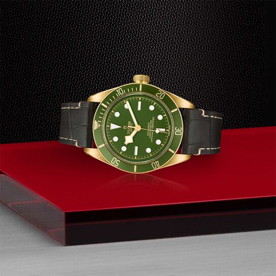 Tudor Black Bay Fifty-Eight 18k 39MM Yellow Gold Case image number 3