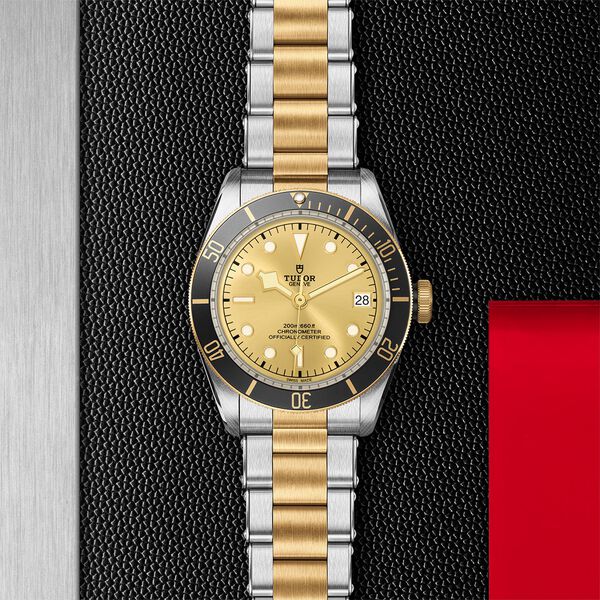 Black Bay Automatic 41 mm Yellow Gold and Stainless Steel
