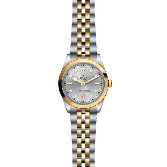 Tudor Black Bay 36 S&G M79643-0002 image number 1