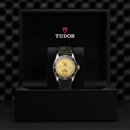 Tudor Black Bay S&G M79733N-0003 Box image number 3