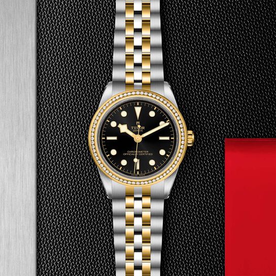 Tudor Black Bay 39 S&G M79673-0001 image number 2