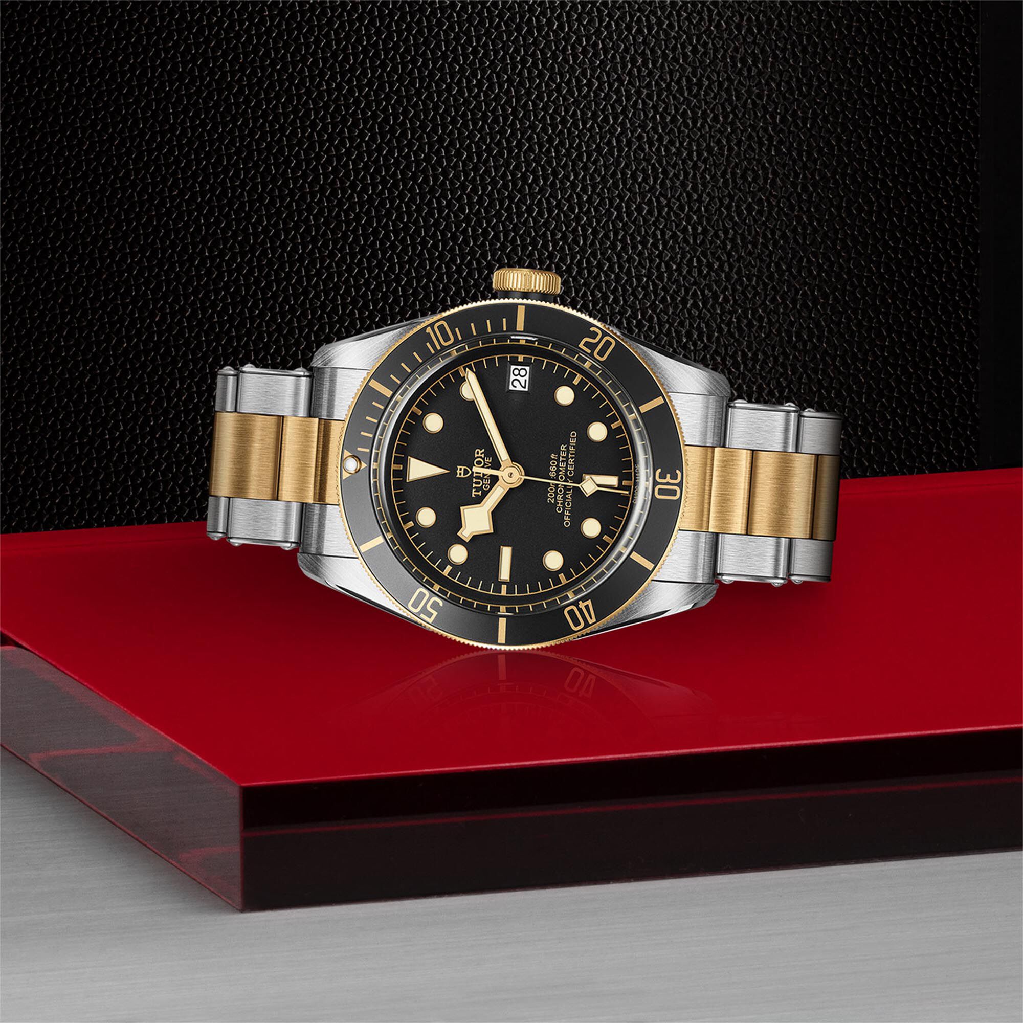 Tudor Black Bay S G M79733N 0008 Maison Birks