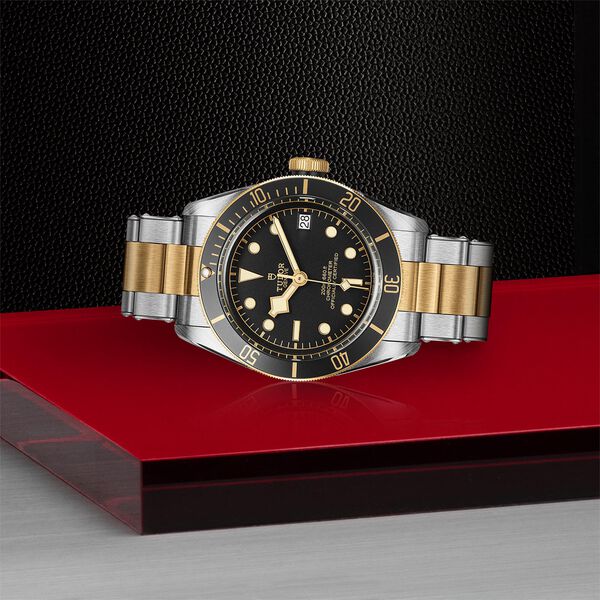 Black Bay Automatic 41 mm Yellow Gold and Stainless Steel
