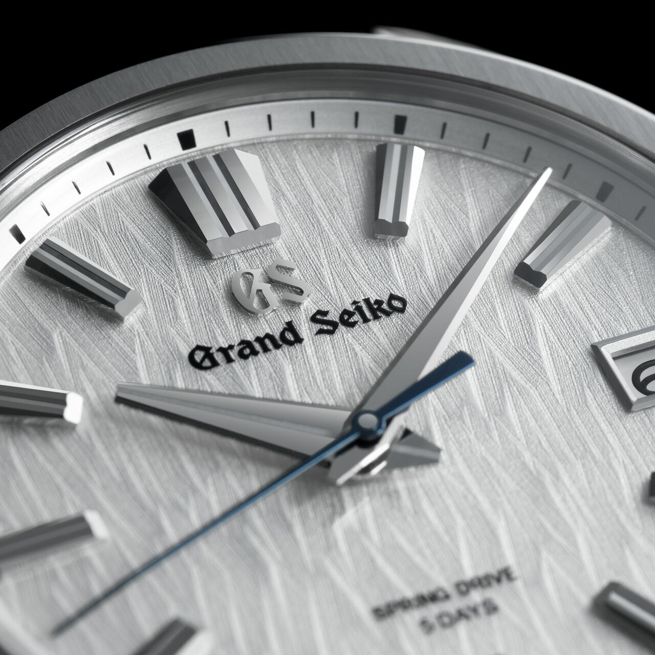 Grand Seiko Evolution 9 White Birch Spring Drive 40 mm Titanium image number 2