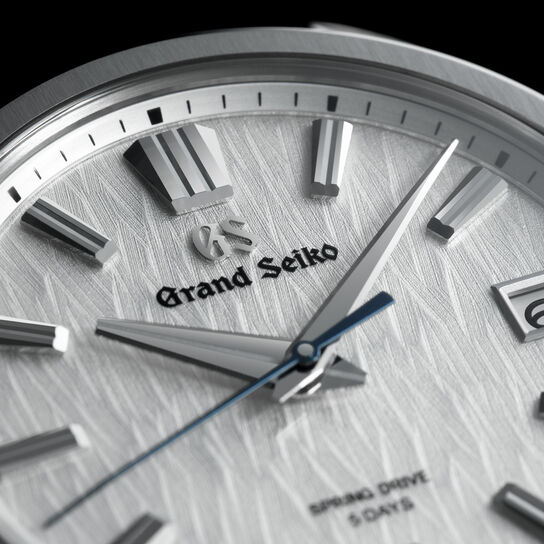 Grand Seiko Evolution 9 White Birch Spring Drive 40 mm Titanium image number 2