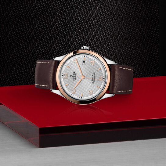  Silver Dial image number 3