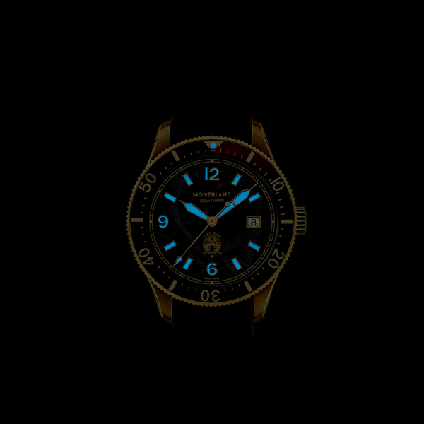1858 Iced Sea 41 mm automatique en bronze et titane