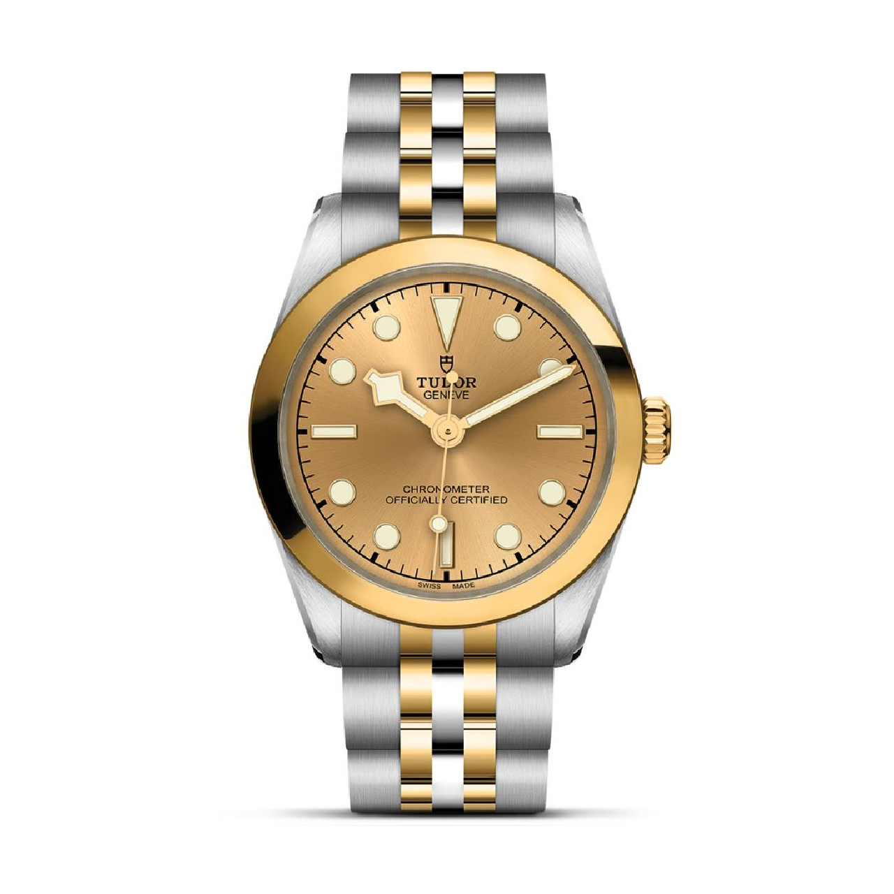 Tudor Black Bay 31 S&G M79603-0005 image number 0