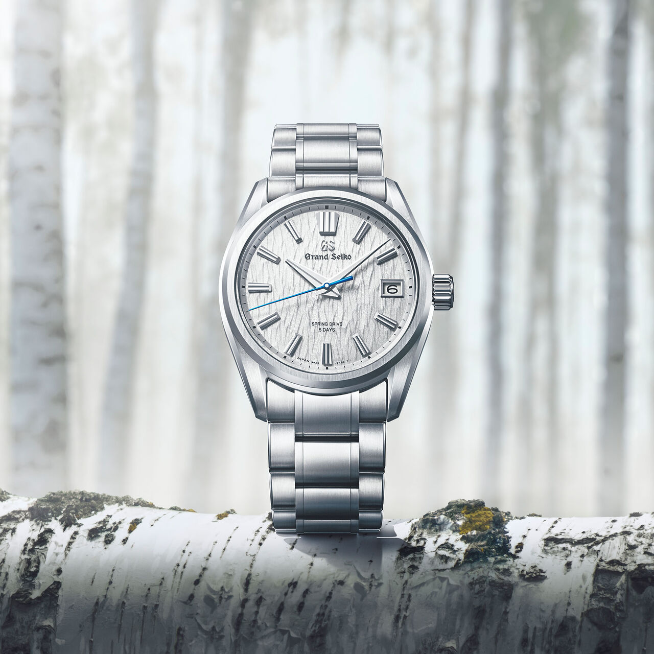 Grand Seiko Evolution 9 White Birch Spring Drive 40 mm Titanium image number 1