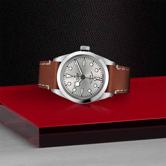 Tudor Black Bay 36 36MM Steel Case image number 3