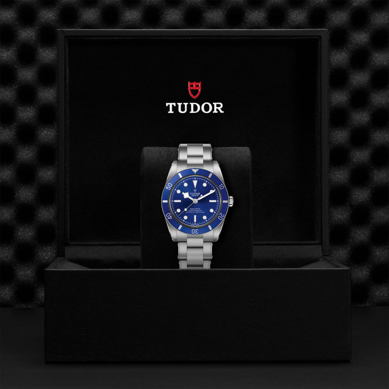 TUDOR Black Bay 54 Automatic 37 mm Stainless Steel image number 3