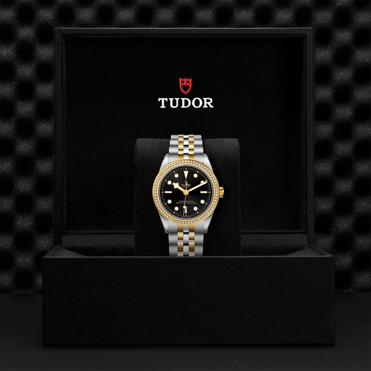 Tudor Black Bay 39 S&G M79673-0001 image number 4