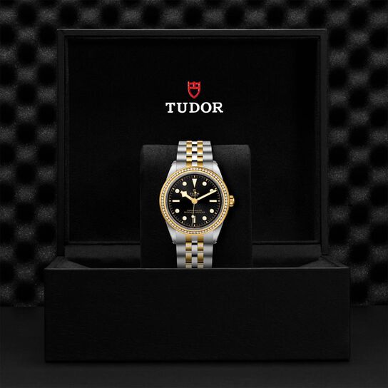 Tudor Black Bay 39 S&G M79673-0001 image number 4