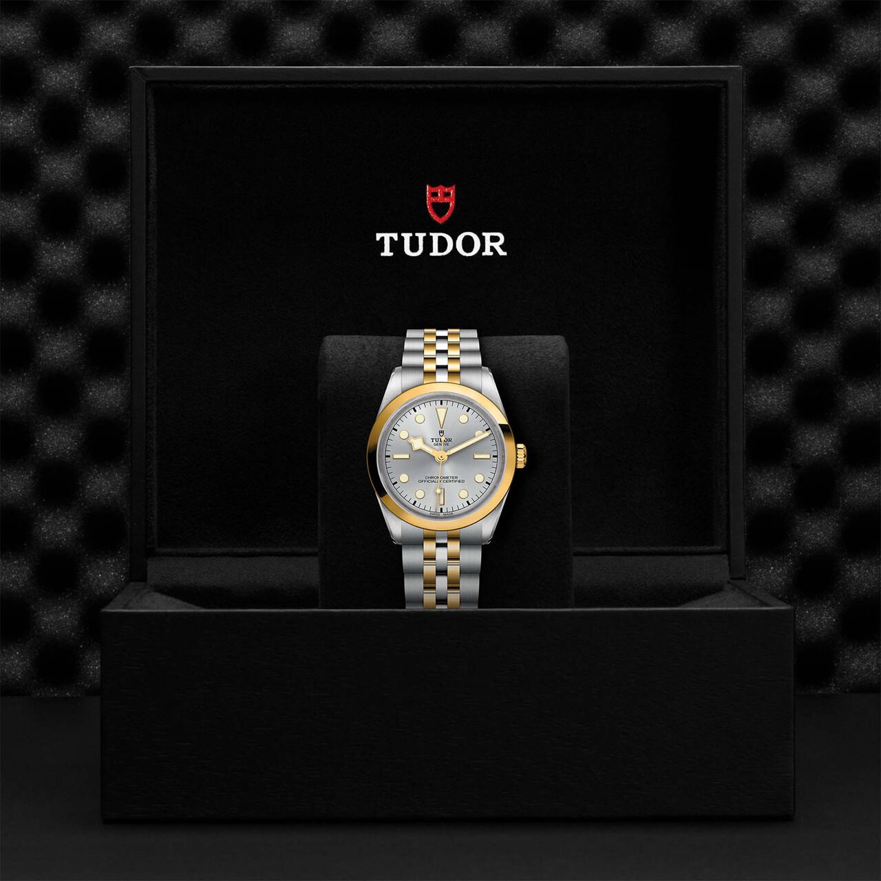 Tudor Black Bay 36 S&G M79643-0002 image number 4