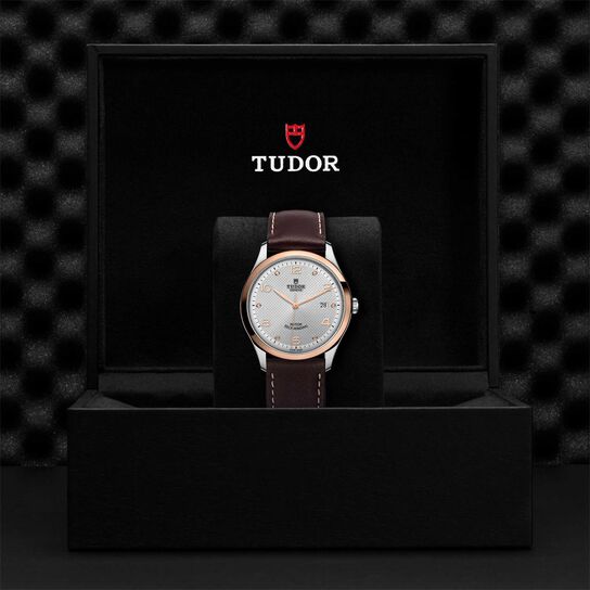 Tudor 1926 41MM Steel Case image number 4