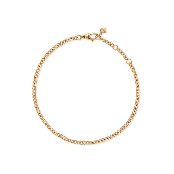 Yellow Gold Rolo 60 Chain Bracelet