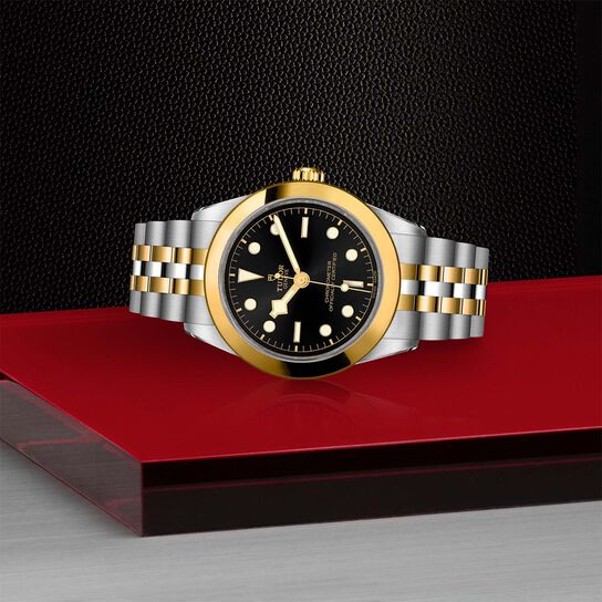 Tudor Black Bay 39 S&G M79663-0001 image number 3