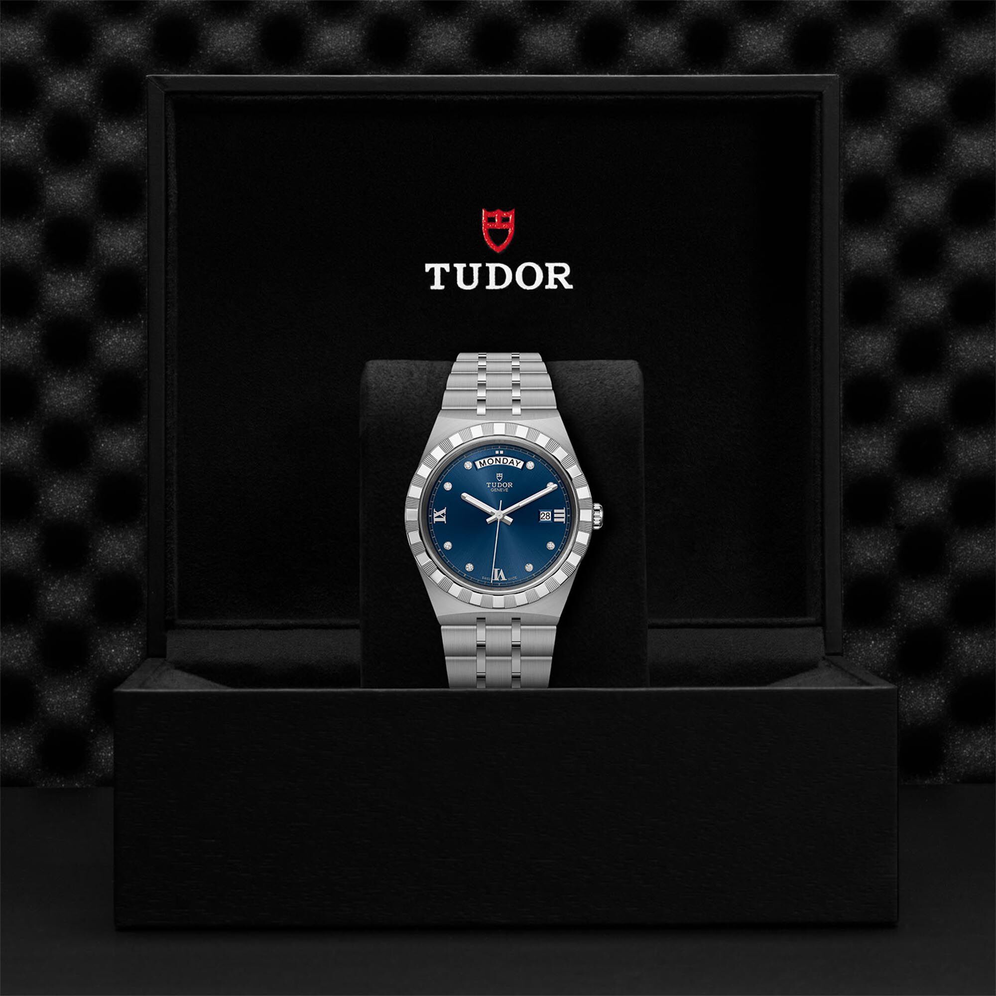 Tudor royal range best sale
