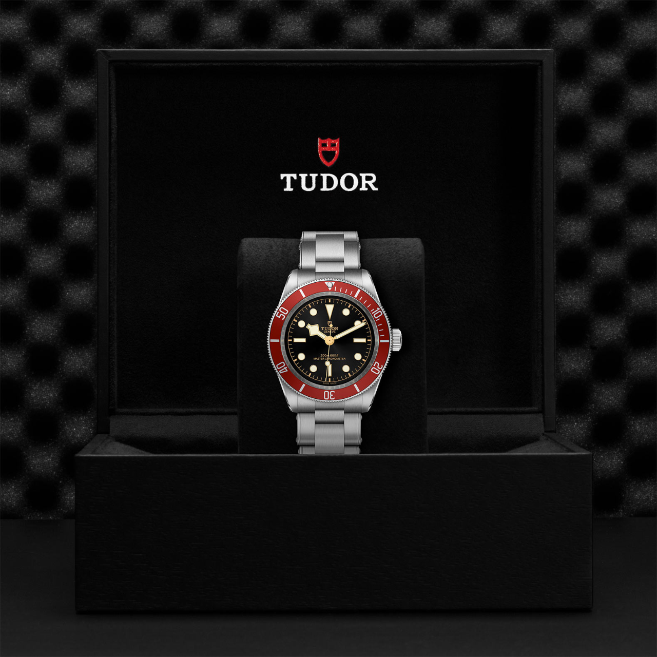 Tudor Black Bay M7941A1A0RU-0001 Box image number 3