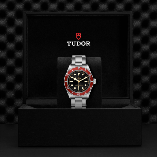 Tudor Black Bay M7941A1A0RU-0001 Box image number 3