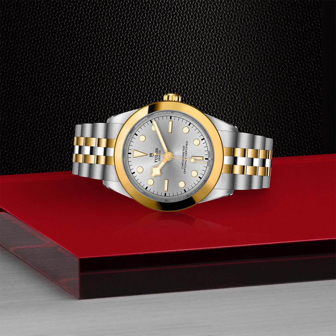 Tudor Black Bay 39 S&G M79663-0002 image number 3