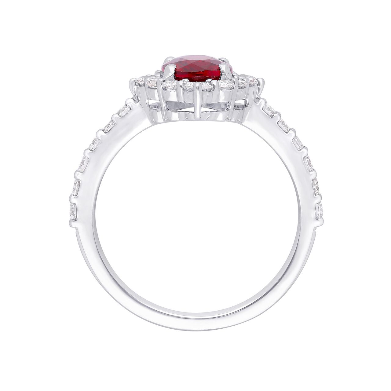 maison birks salon oval ruby diamond halo sg12185r 8x6 ru standing front image number 1