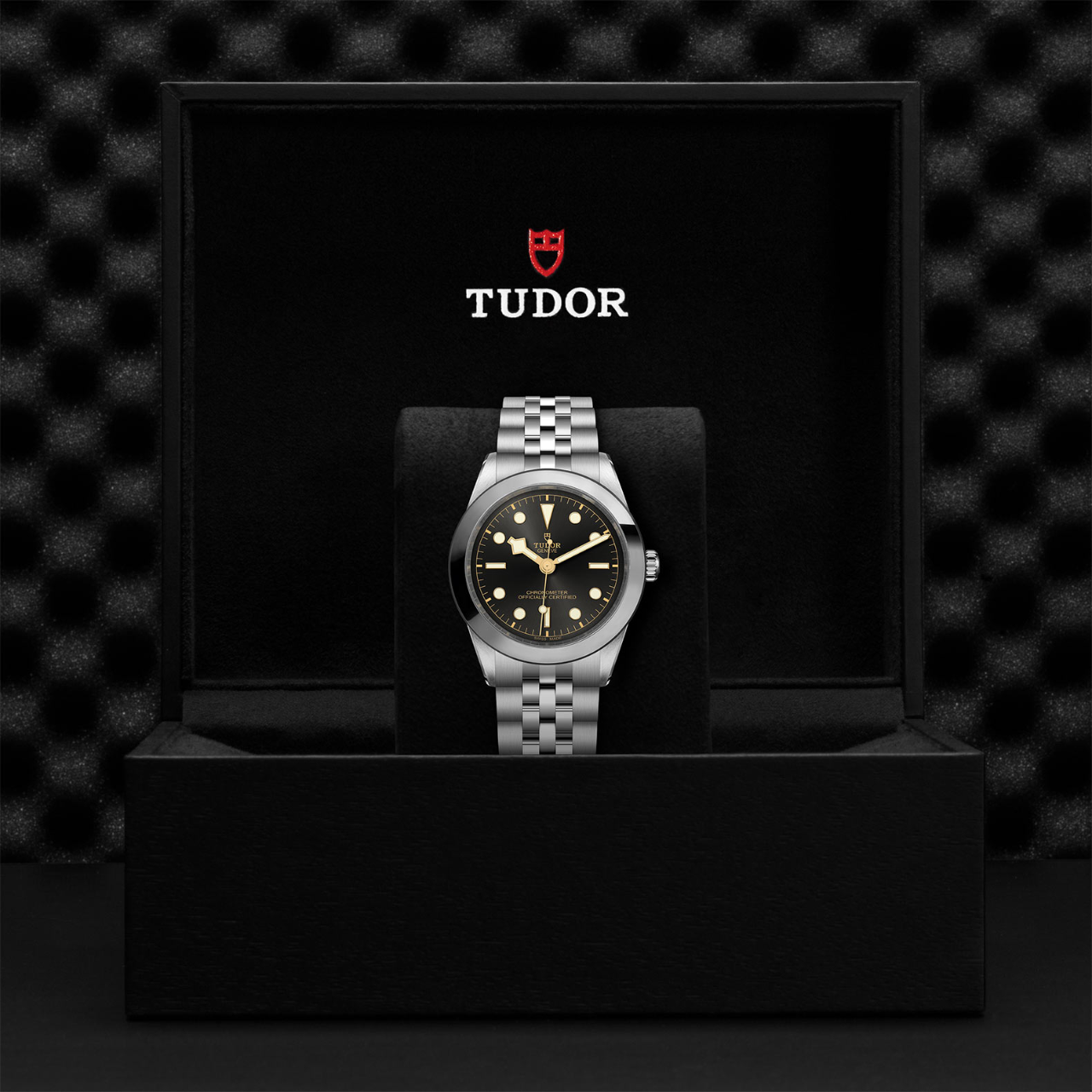 Tudor Black Bay 39 M79660-0001 Box image number 3
