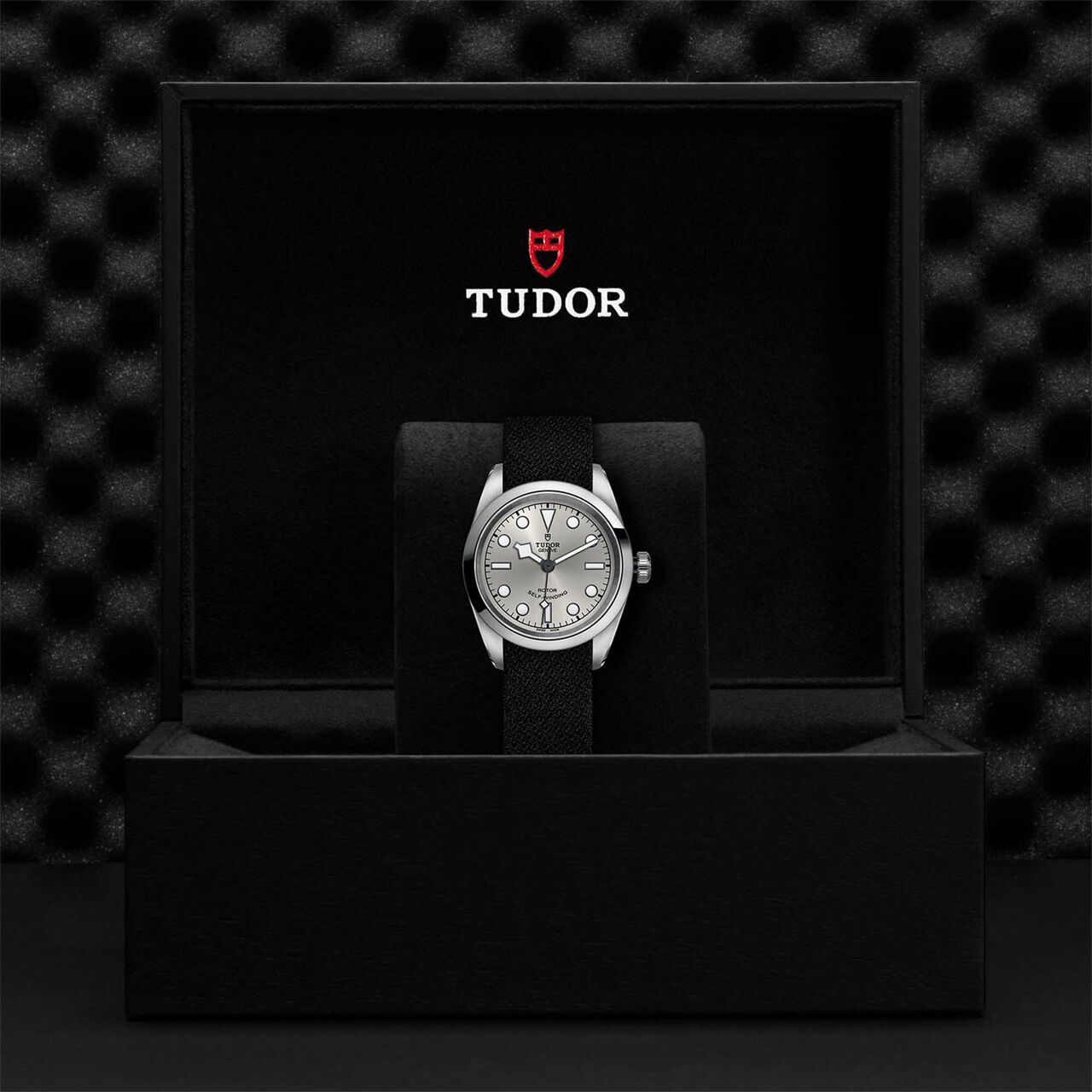 Tudor Black Bay 32 32MM Steel Case image number 3