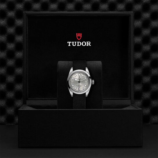 Tudor Black Bay 32 32MM Steel Case image number 3