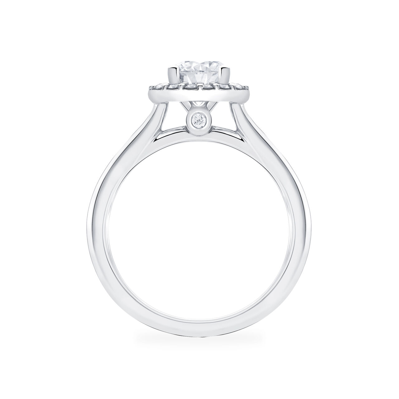 Round Diamond Engagement Ring With Single Halo image number 2