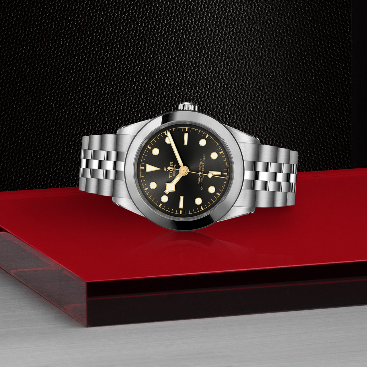 Tudor Black Bay 39 M79660-0001 Side image number 2