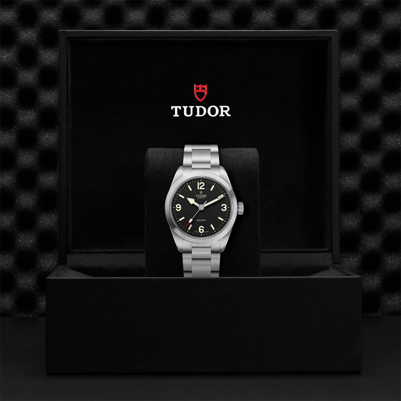 Tudor Ranger M79950-0001 Box image number 4