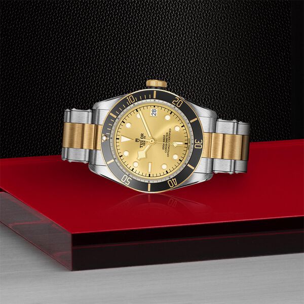 Black Bay Automatic 41 mm Yellow Gold and Stainless Steel