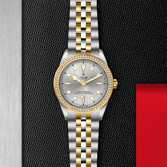 Tudor Black Bay 39 S&G M79673-0002 image number 2