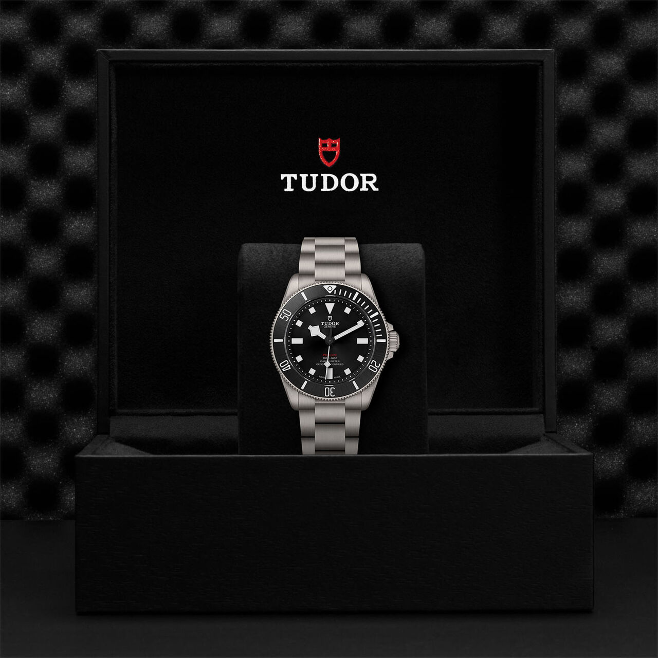 Tudor Pelagos M25407N-0001 Steel Bracelet image number 8