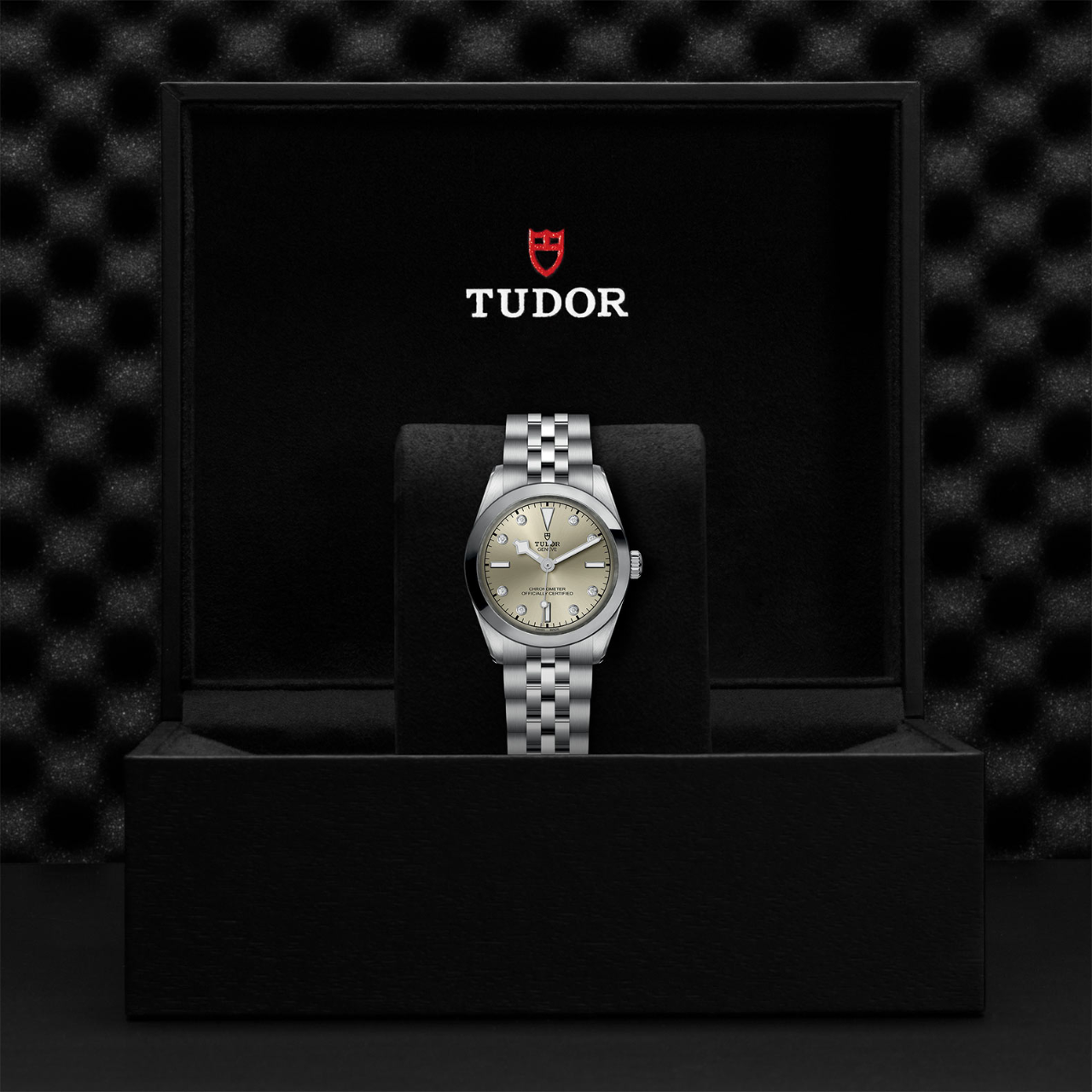 Tudor Black Bay 31 M79600-0006 Box image number 4