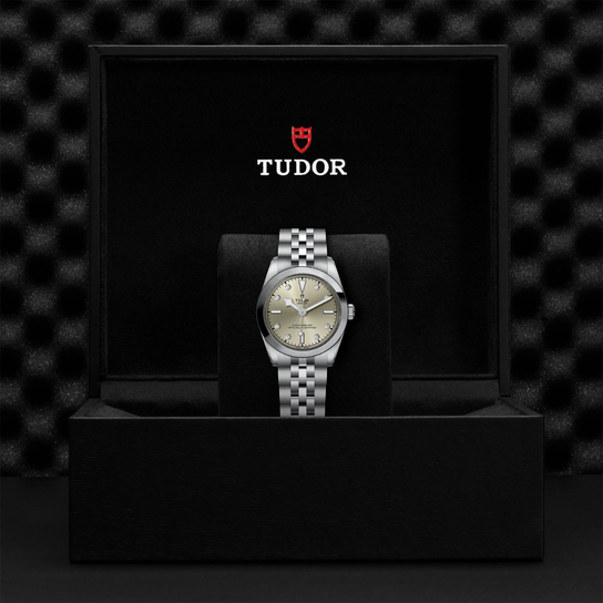 Tudor Black Bay 31 M79600-0006 Box image number 4
