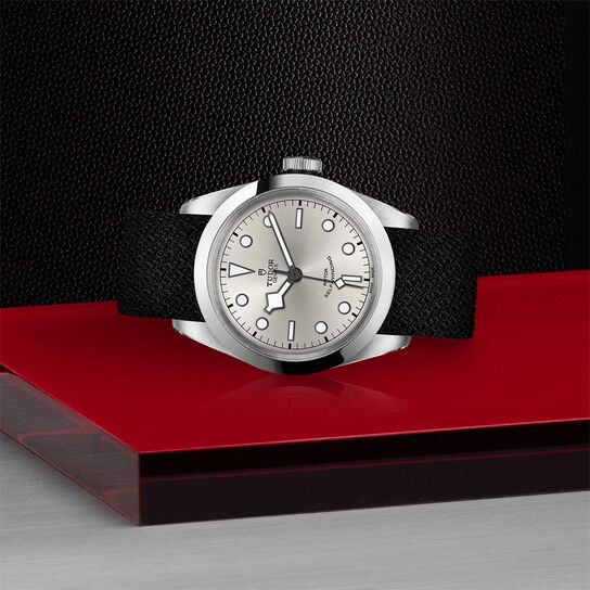 Tudor Black Bay 41 41MM Steel Case image number 3