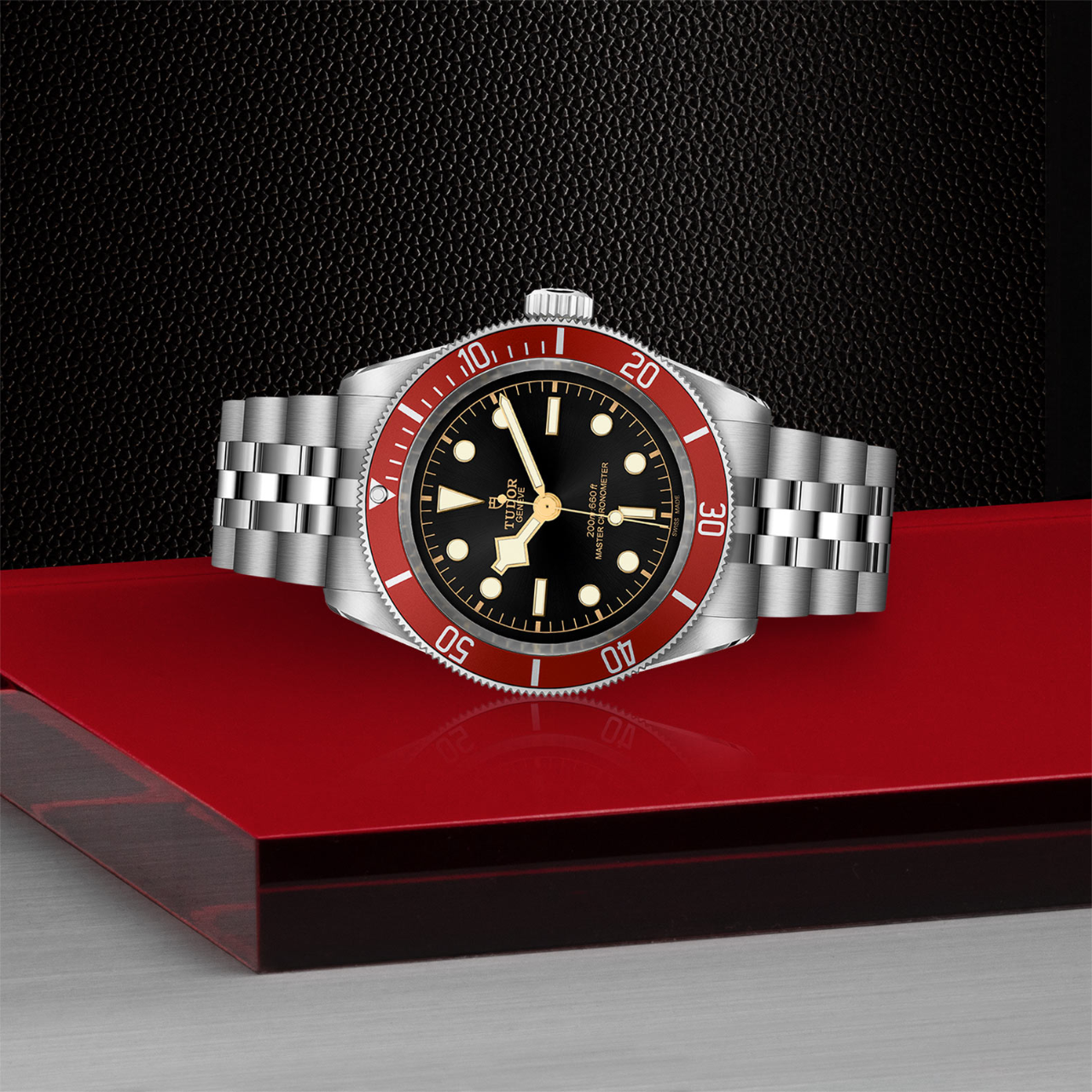 Tudor Black Bay M7941A1A0RU-0003 Side image number 2