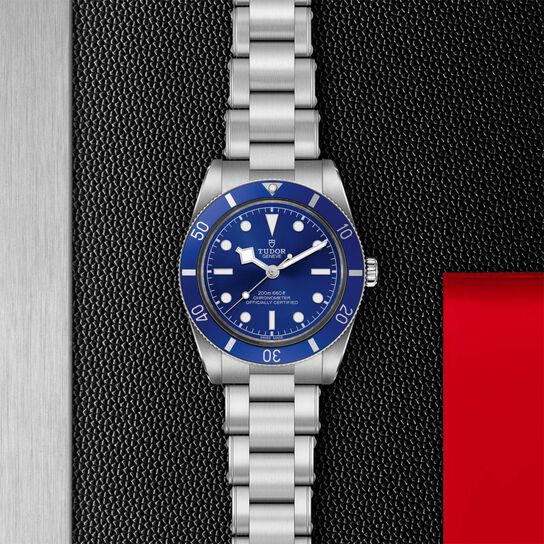 TUDOR Black Bay 54 Automatic 37 mm Stainless Steel image number 1
