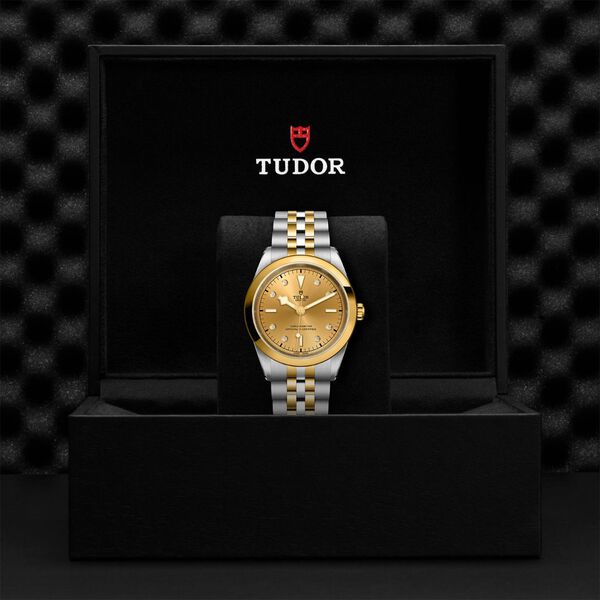 Black Bay One Automatic 41 mm Yellow Gold, Stainless Steel and Diamond