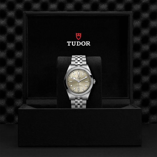 Tudor Black Bay 41 M79680-0003 Box image number 3