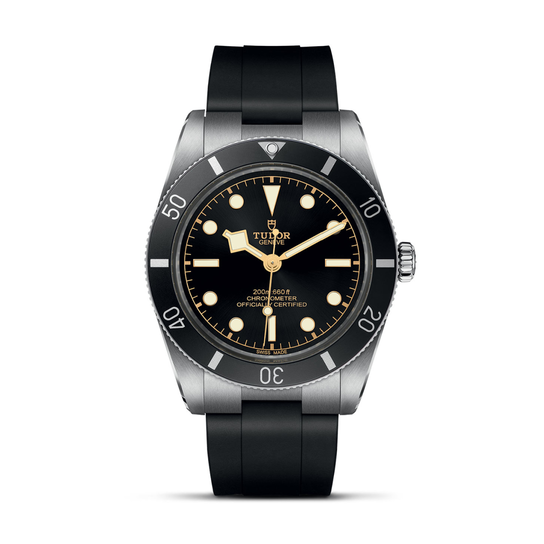 Tudor Black Bay 54 M79000N-0002 image number 0