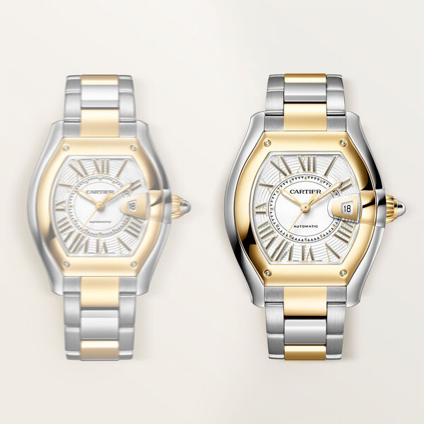 Roadster Large Automatic 47 X 39 mm Yellow Gold and Stainless Steel