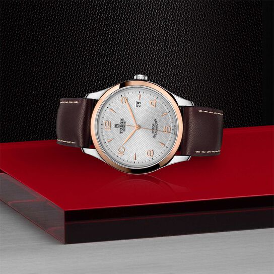  Silver Dial image number 3