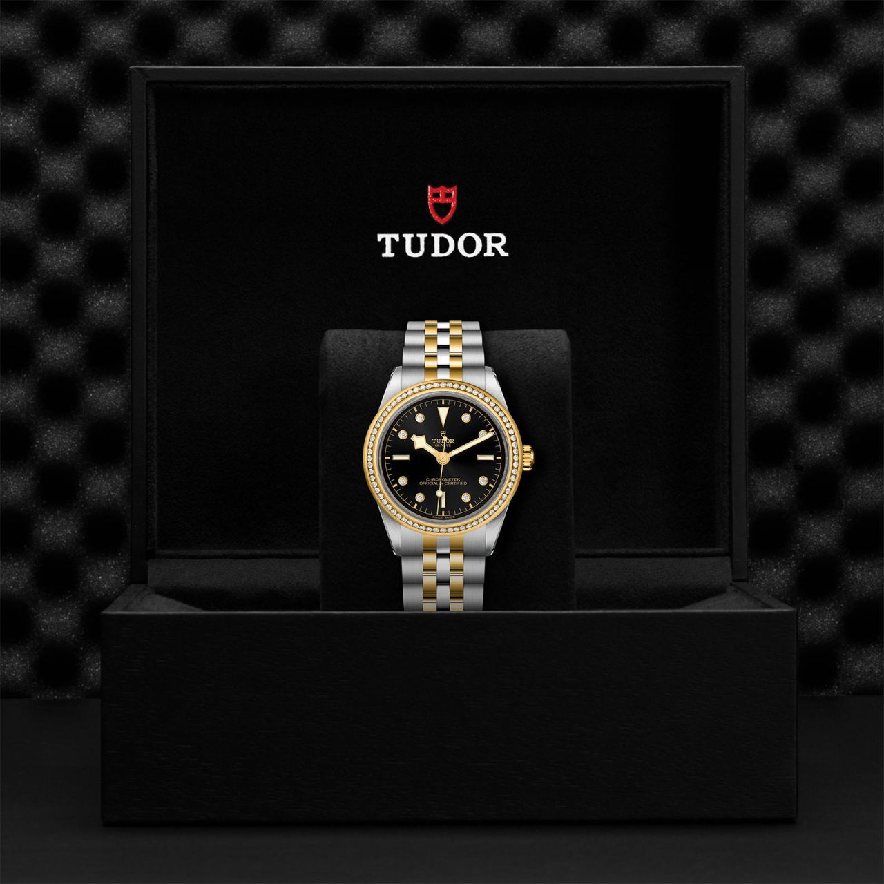 Tudor Black Bay 39 S&G M79673-0005 Box image number 2