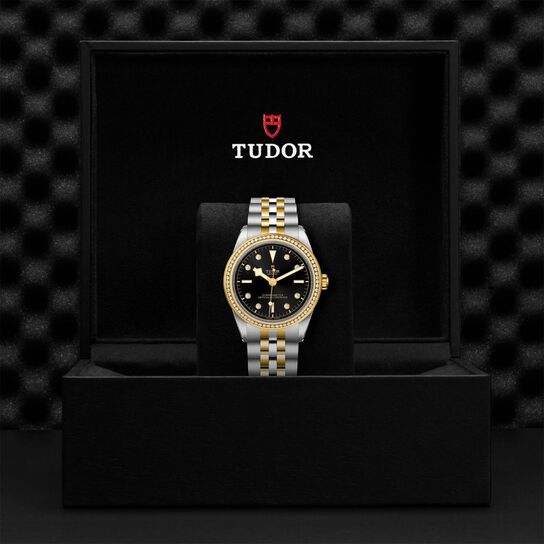 Tudor Black Bay 39 S&G M79673-0005 Box image number 2