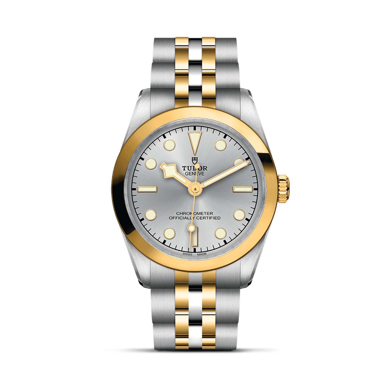 Tudor Black Bay 31 S&G M79603-0002 image number 0