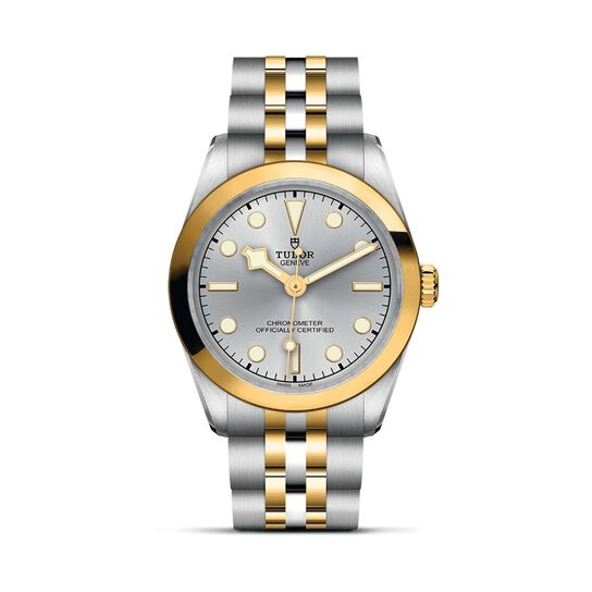 Tudor Black Bay 31 S&G M79603-0002 image number 0
